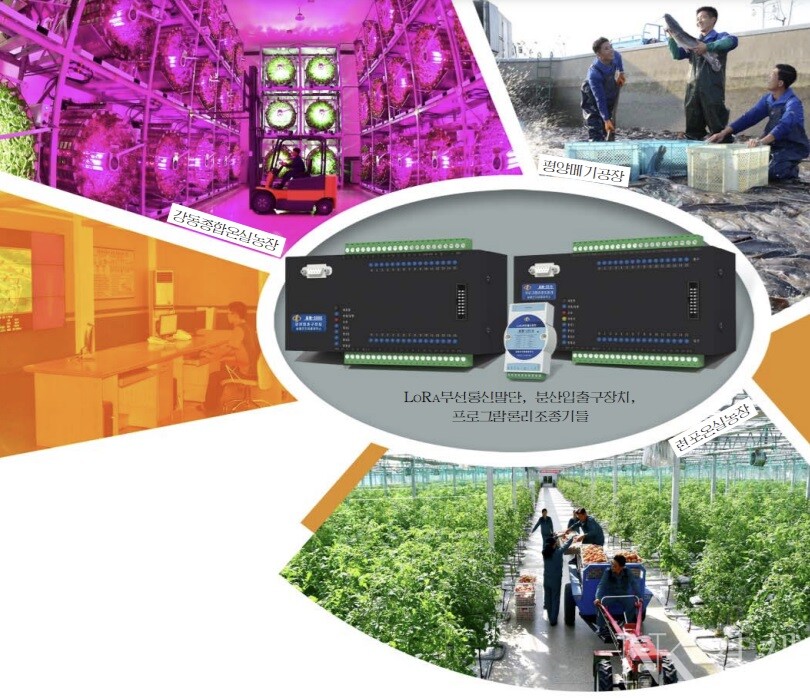 출처: 금수강산