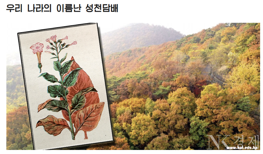 출처: 김책공업종합대학